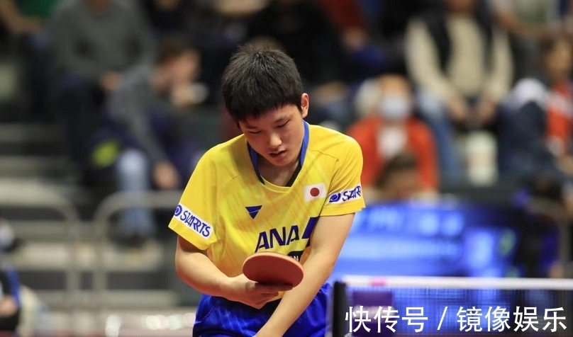 球队管理层 球队管理层